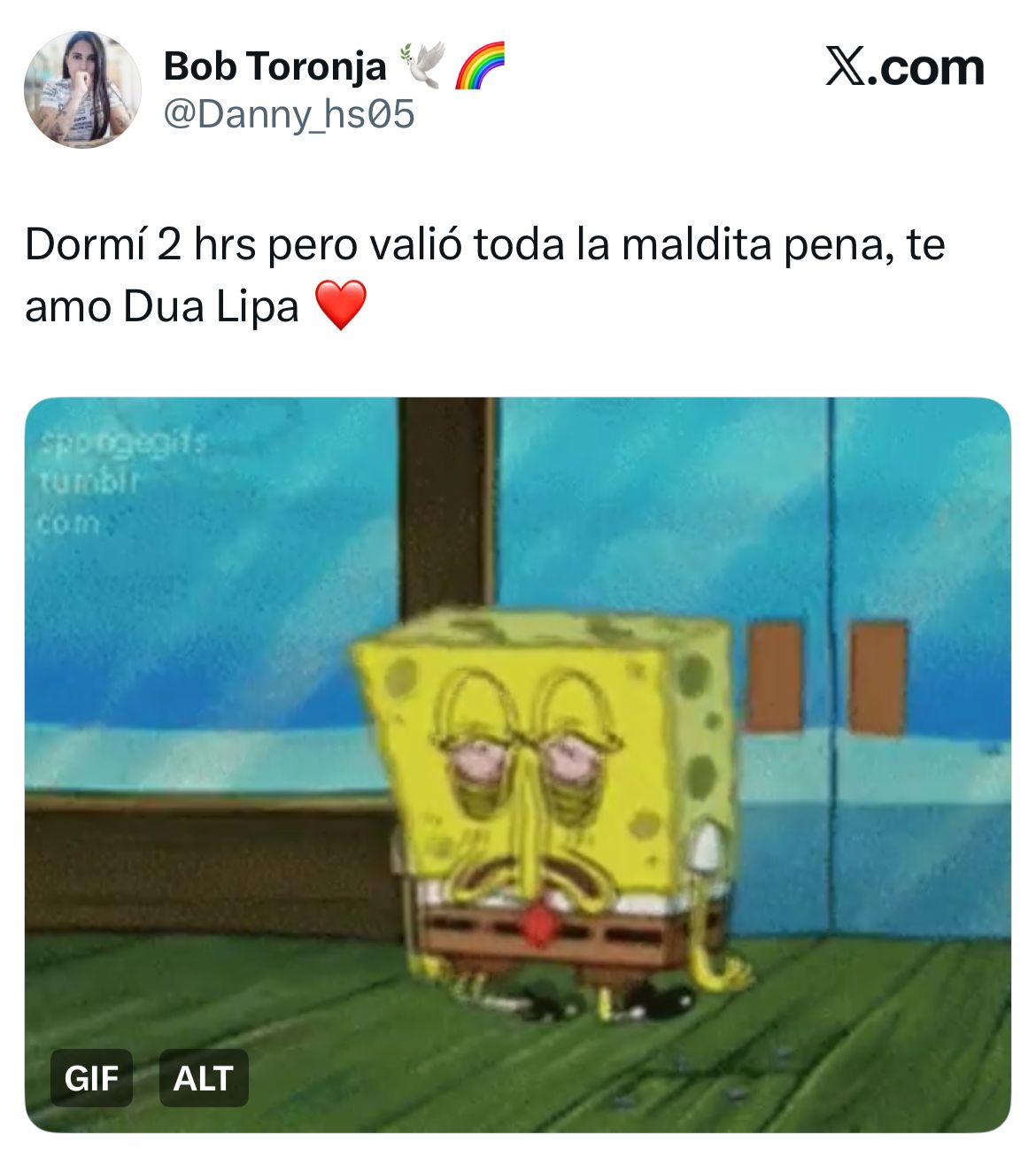 Dua Lipa concierto en CDMX memes