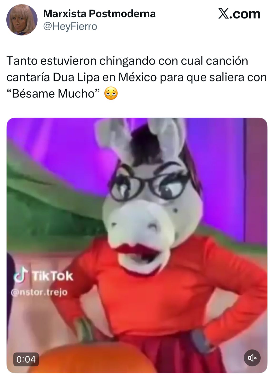 Los memes del show de Dua Lipa