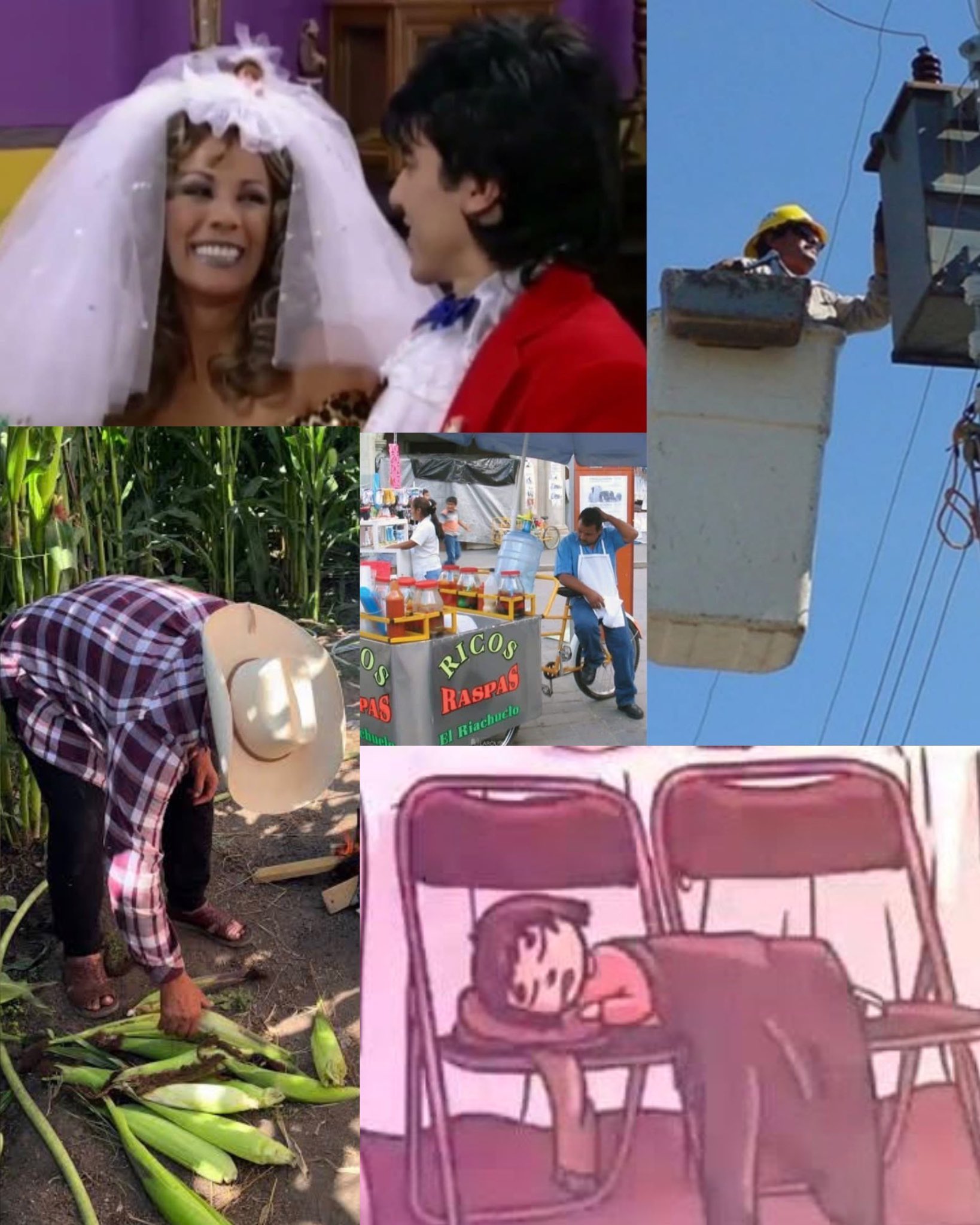 Referencias sobre el show de Bad Bunny