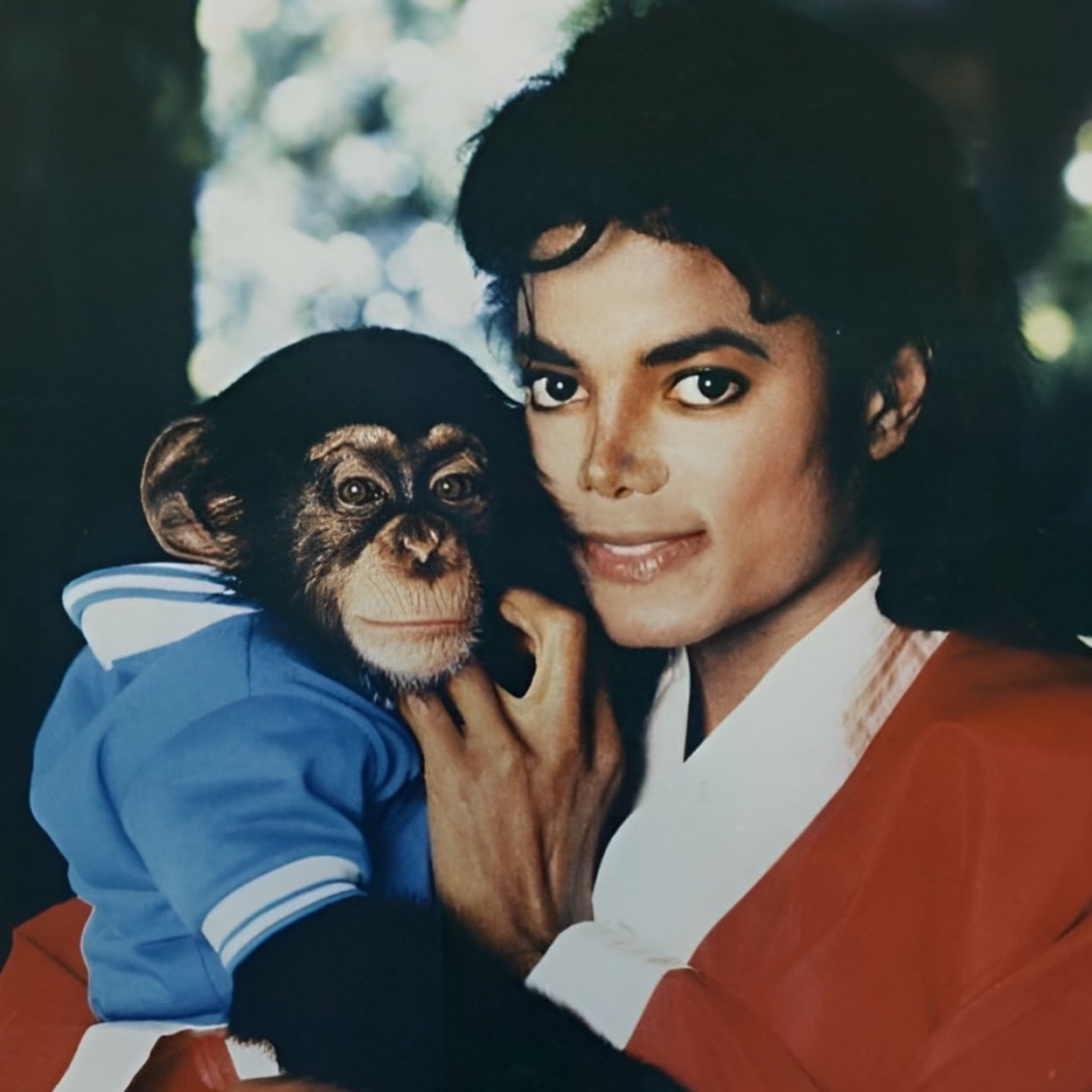 Bubbles y Michael Jackson