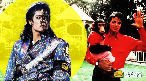 ¿Qué pasó con Bubbles, el chimpancé de Michael Jackson?